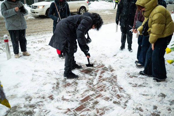 Прогулянка до Каменя спотикання Іді Цейтлін
