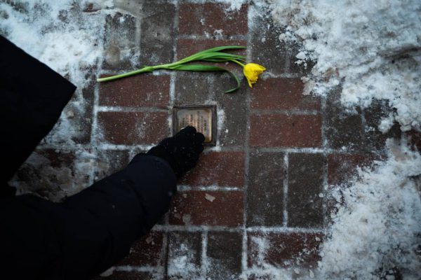 Відвідувачі зустрічі допомагають розчистити Камінь.